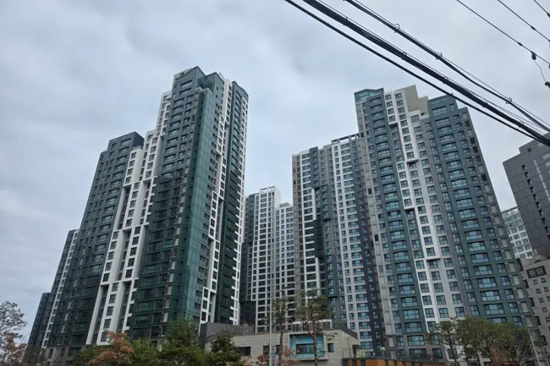 개나리장식 시공사례 사진